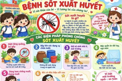 Phòng chống bệnh sốt xuất huyết cho trẻ